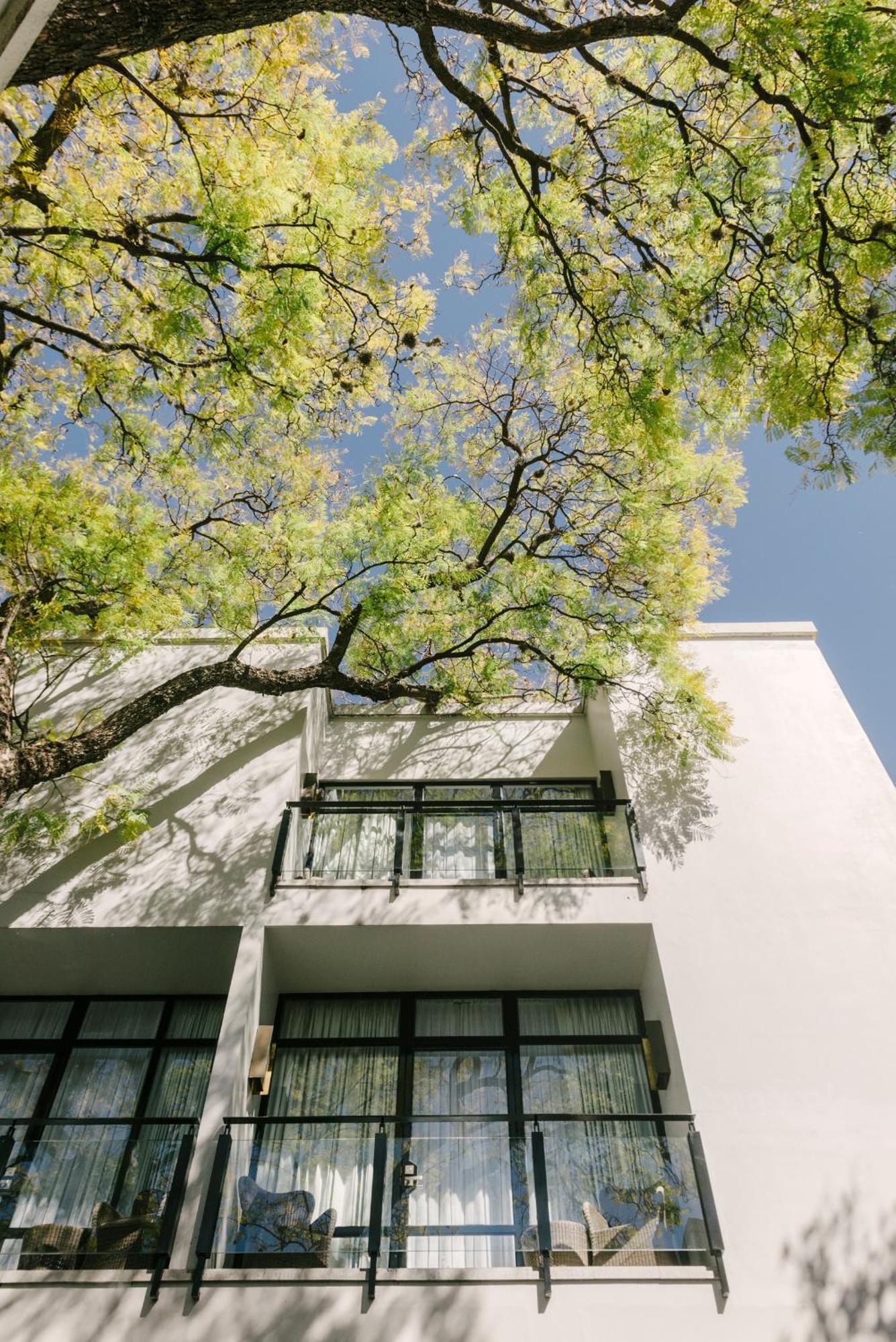Hotel Matilda, A Member Of Design Hotels San Miguel de Allende Esterno foto